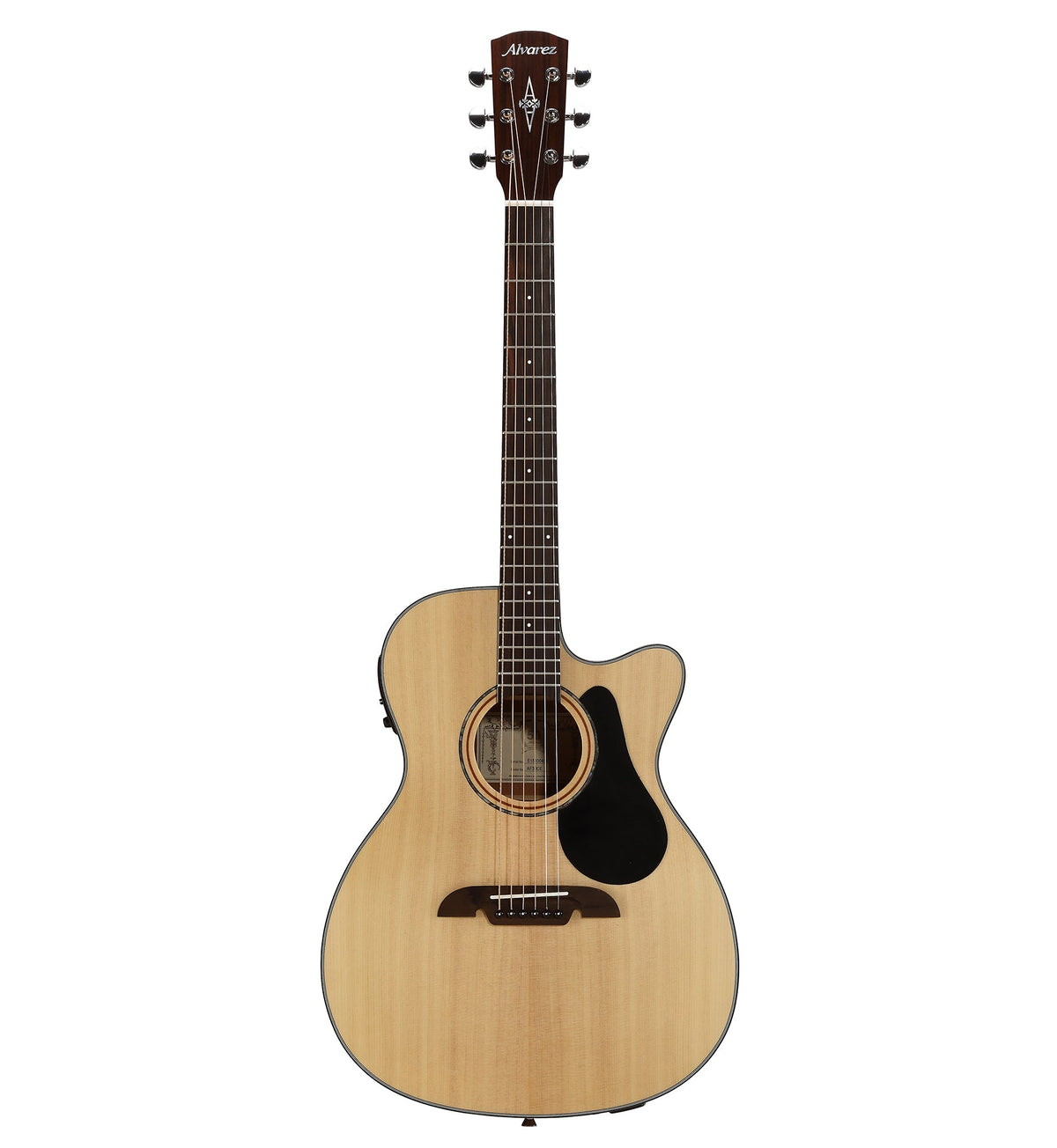 Acoustic guitars at Pop's Music in Jackson, TN