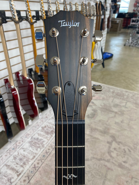 Taylor 314e with V-Class Bracing - Natural
