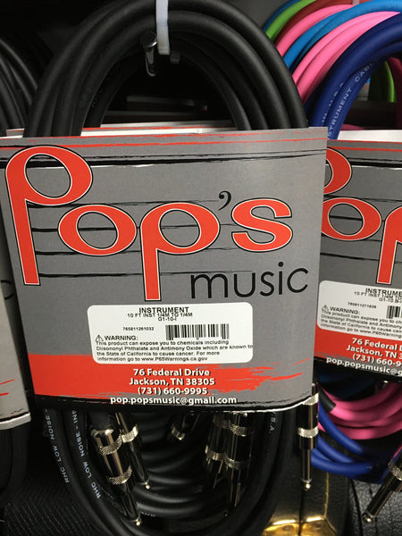 RapcoHorizon G1-10 10' 1/4" Instrument Cable