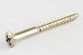 Allparts GS-0039-001 Tremolo Claw Screws Nickel