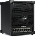 CM-30 Roland Cube Monitor 30w