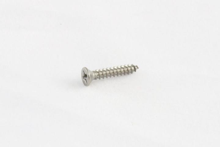 Allparts GS-3397-005 SHORT HUMBUCKING RING SCREWS Stainless Steel
