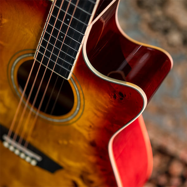 Washburn DEEP FOREST BURL ACE Acoustic Electric DFBACEA