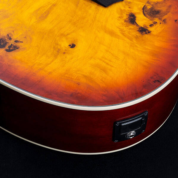 Washburn DEEP FOREST BURL ACE Acoustic Electric DFBACEA