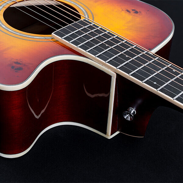 Washburn DEEP FOREST BURL ACE Acoustic Electric DFBACEA