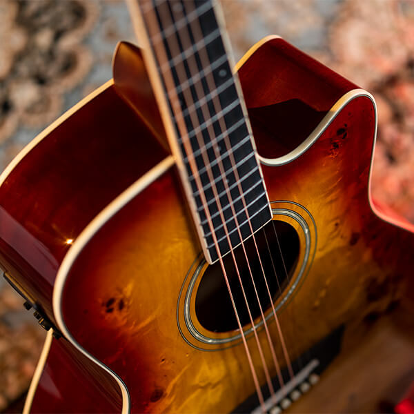 Washburn DEEP FOREST BURL ACE Acoustic Electric DFBACEA