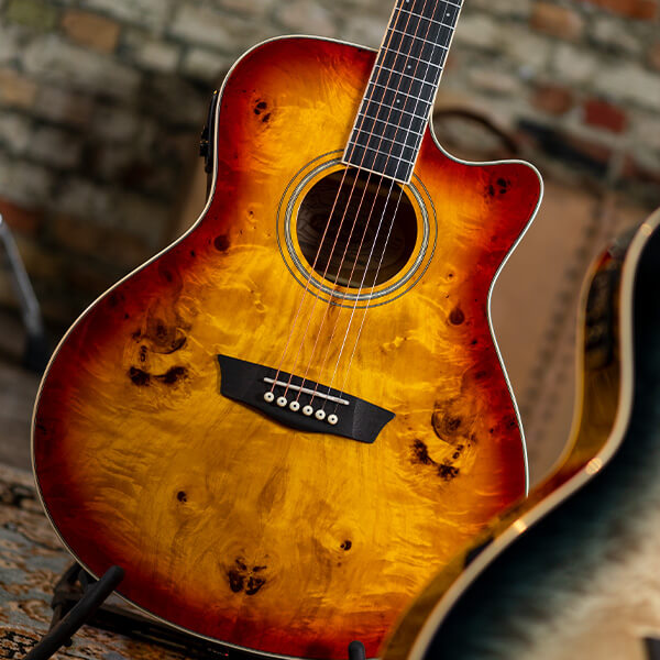 Washburn DEEP FOREST BURL ACE Acoustic Electric DFBACEA