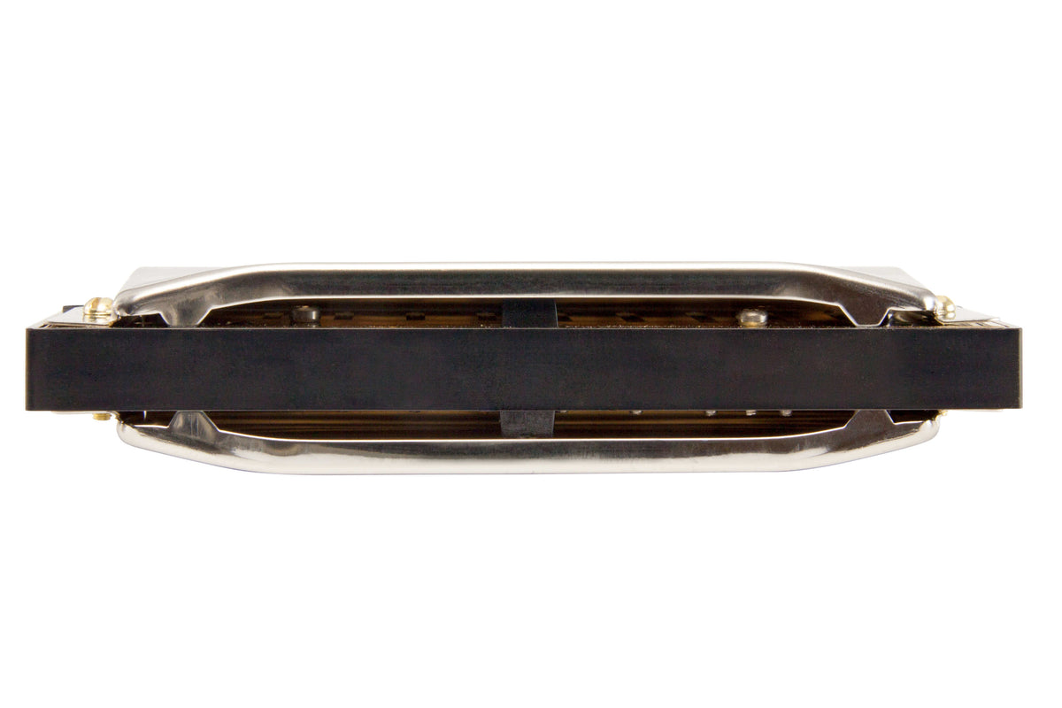 Hohner Progressive Series Special 20 Harmonica - F