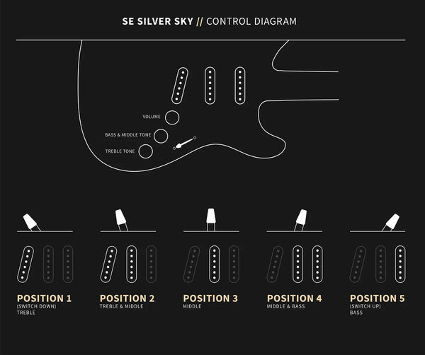 PRS SE Silver Sky Evergreen