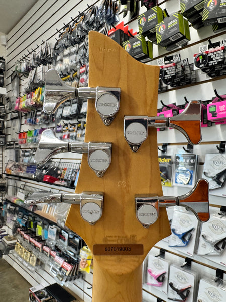 Schecter C-5 Deluxe - White