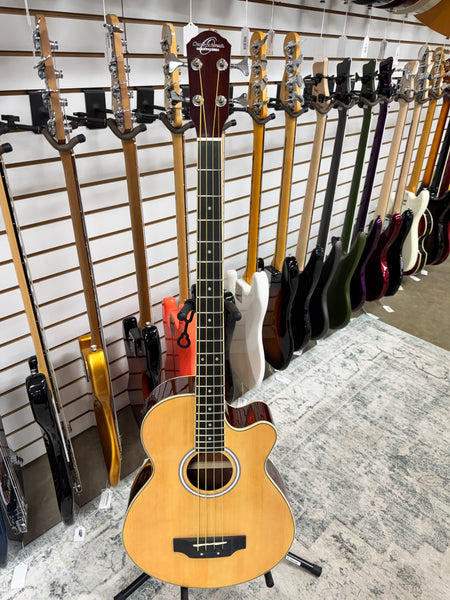 Oscar Schmidt OB100-N Acoustic/Electric Bass - Natural