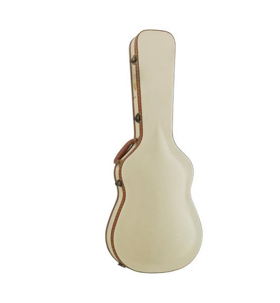 Alvarez FC1 Folk/OM Case