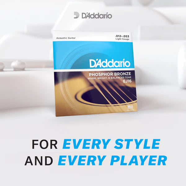 D'Addario EJ41 09-45 Extra Light 12-String Acoustic Guitar Strings