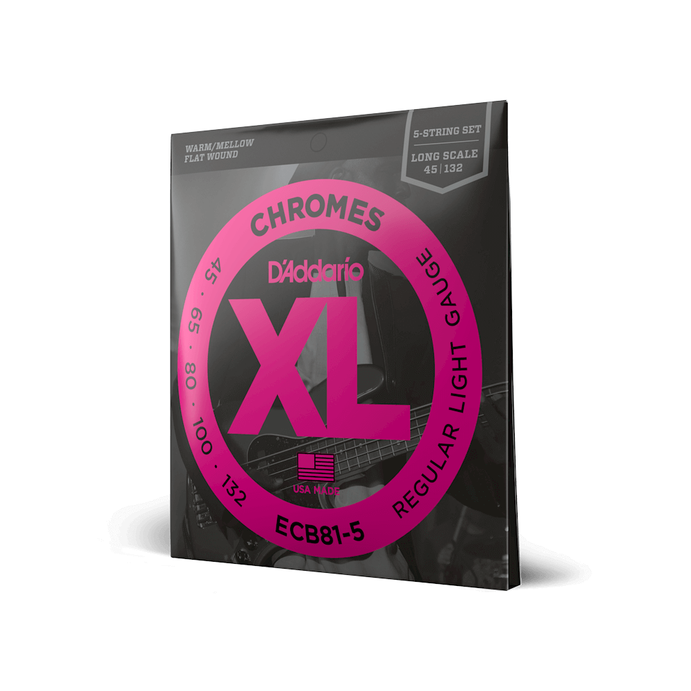 D'Addario 45-132 Regular Light 5-String, Long Scale, XL Chromes Bass Strings ECB81-5