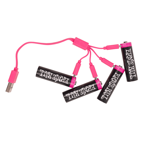 Ernie Ball 9643 USB-C Rechargeable AA Battery by Paleblue - 4-pack