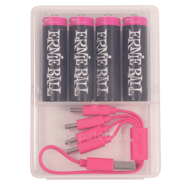 Ernie Ball 9643 USB-C Rechargeable AA Battery by Paleblue - 4-pack