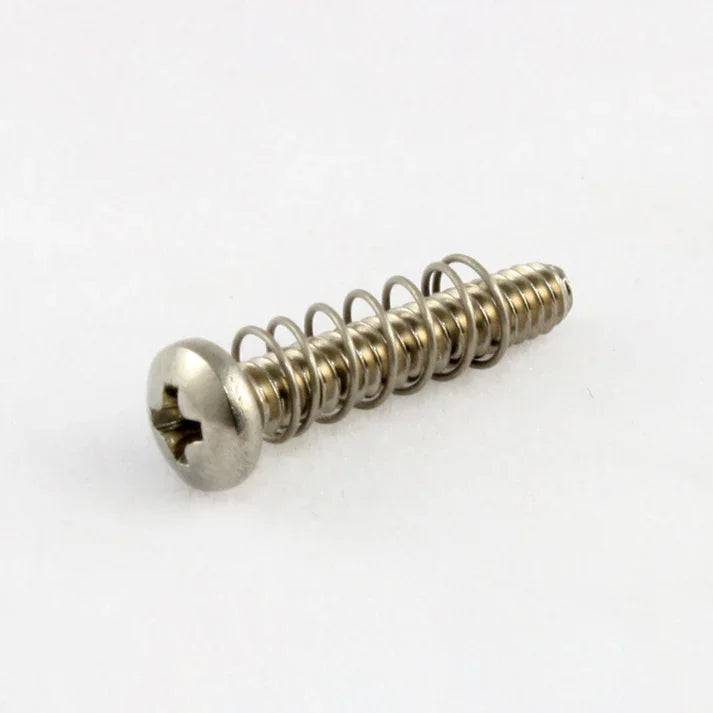 Allparts GS-0004-005 BRIDGE LENGTH SCREWS Stainless Steel