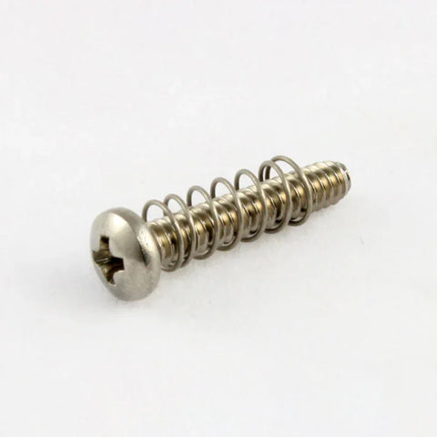 Allparts GS-0004-005 BRIDGE LENGTH SCREWS Stainless Steel