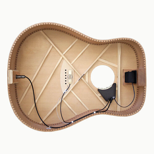 LR Baggs Anthem Acoustic Guitar Pickup + Microphone