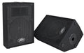 Peavey PVI 10 (PAIR) 2-WAY SPEAKER
