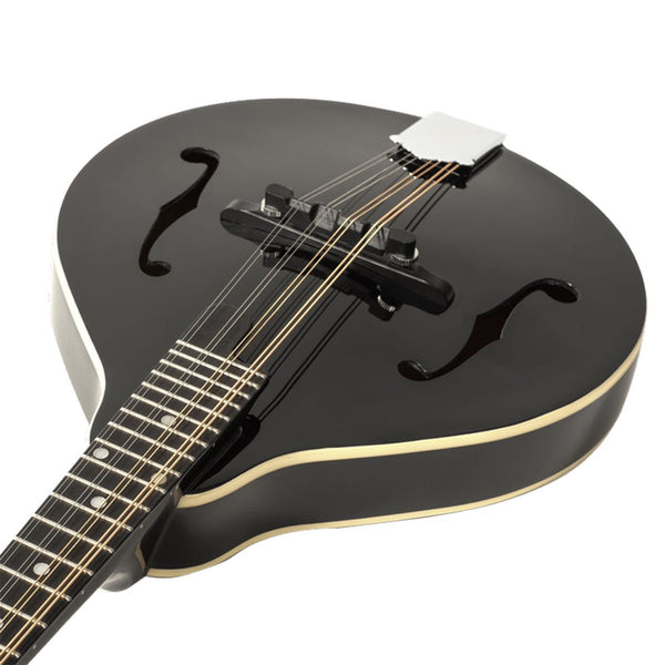 Recording King RAM-3-BK Dirty 30s A-Style Mandolin - Black