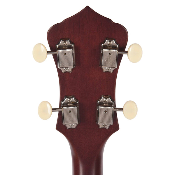 Recording King RKO-3S Open Back Banjo