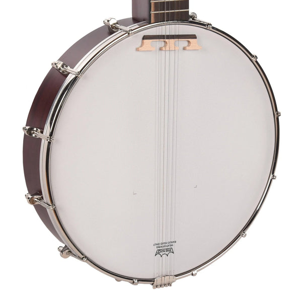 Recording King RKO-3S Open Back Banjo