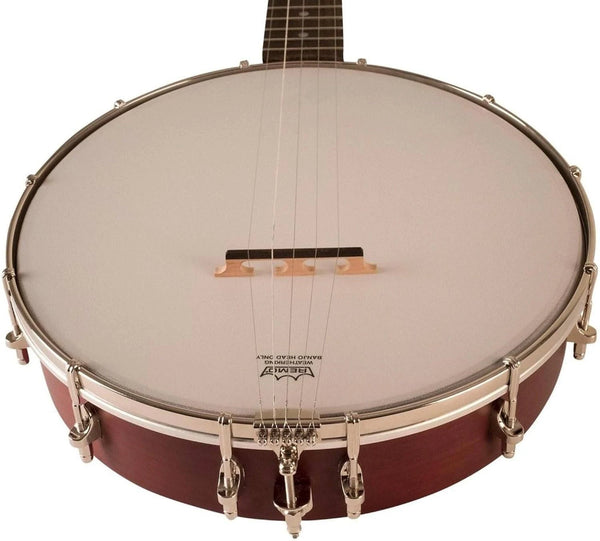 Recording King RKO-3S Open Back Banjo