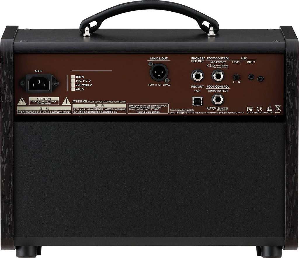 Boss Acoustic Singer Live LT 60-watt Bi-amp Acoustic Combo