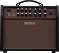 Boss Acoustic Singer Live LT 60-watt Bi-amp Acoustic Combo