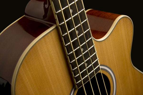 Washburn AB5K 4-String Acoustic Bass Natural