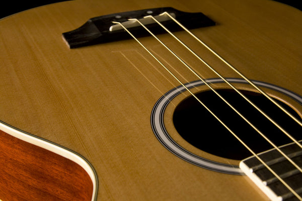 Washburn AB5K 4-String Acoustic Bass Natural