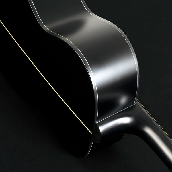 Washburn DFEFE Deep Forrest Ebony FE Acoustic Electric