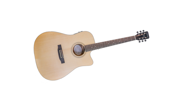 Nashville Guitar Works D10CE Acoustic Electric Guiar with Gig Bag