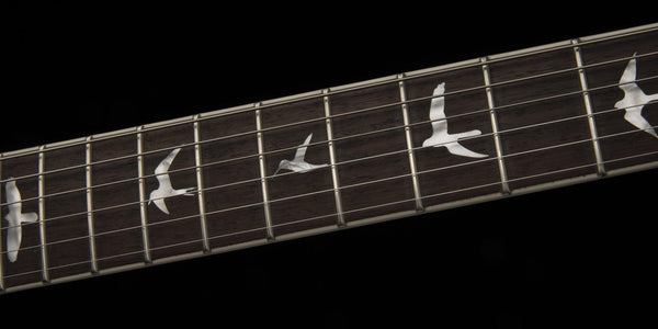 Paul Reed Smith SE Zach Myers Blue