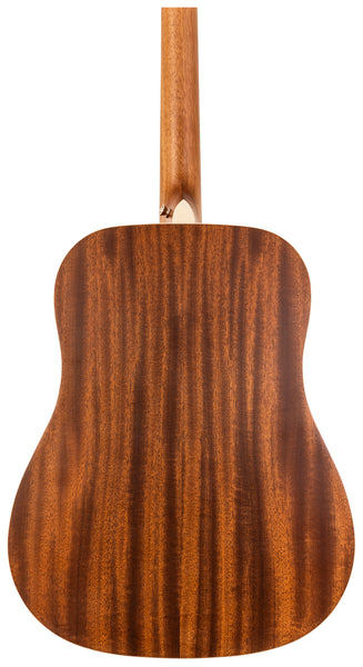 Peavey DELTA WOODS DW-1 ACOUSTIC GUITAR WITH BAG