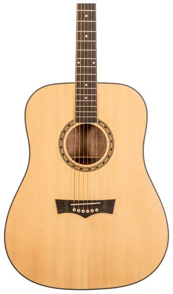 Peavey DELTA WOODS DW-1 ACOUSTIC GUITAR WITH BAG
