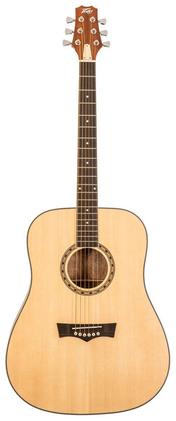 Peavey DELTA WOODS DW-1 ACOUSTIC GUITAR WITH BAG