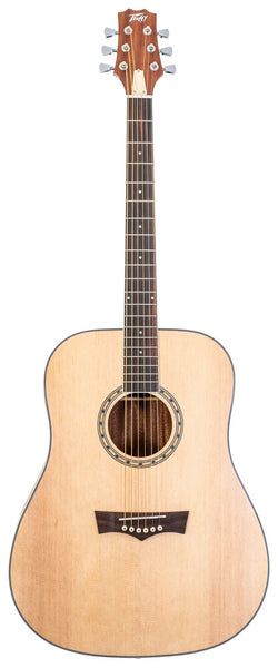 Peavey DELTA WOODS DW-2 SOLID TOP DREADNOUGHT ACOUSTIC GUITAR WITH CASE