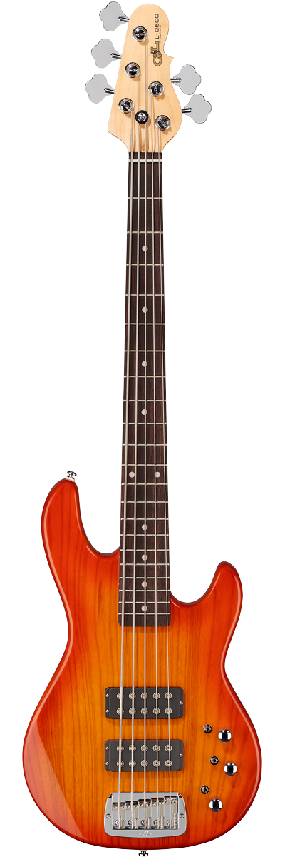 G&L Tribute Series L-2500 5-String Bass with Brazilian Cherry Fretboard Honeyburst