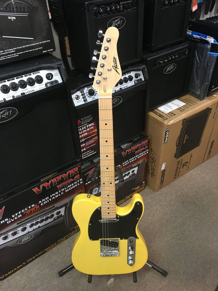 Austin ATC250BC Single Cut Electric Guitar Butterscotch